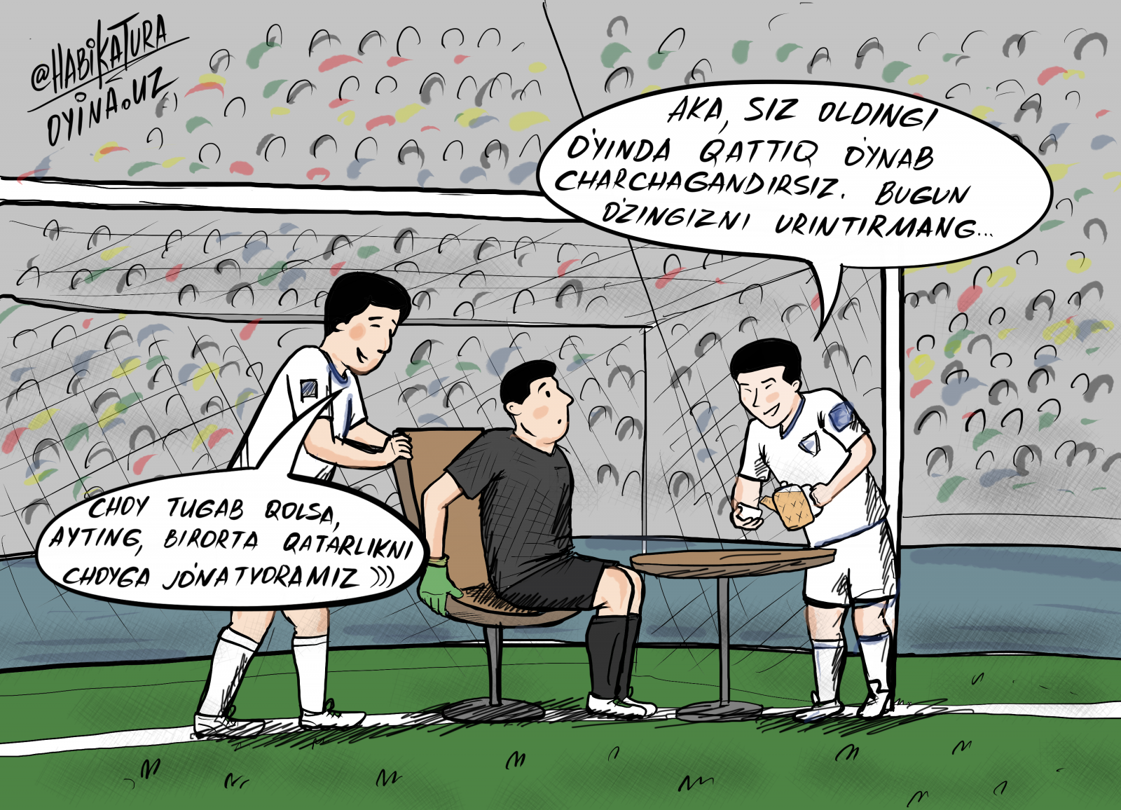 Paypoqlar mushuk baxt